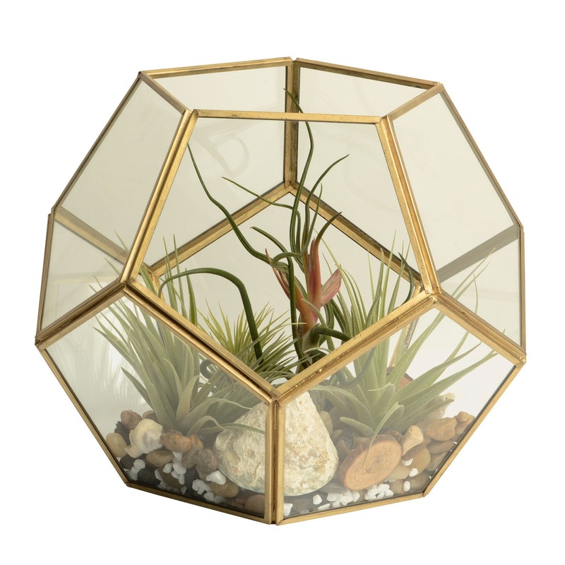 Modern Elegance – Geometric Gold Glass Terrarium