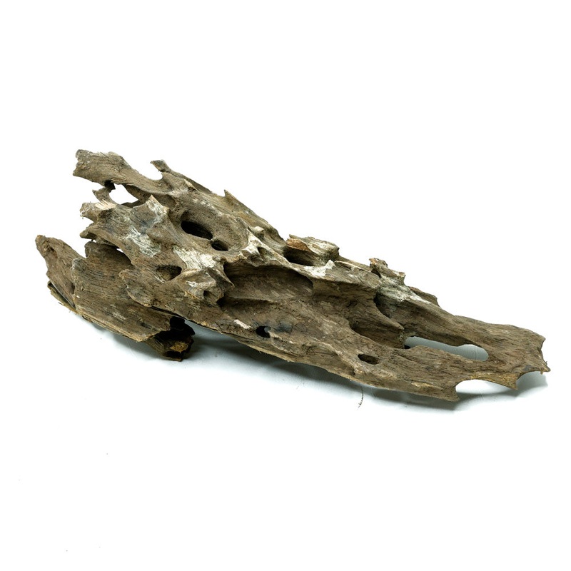 Shrimp Wood
