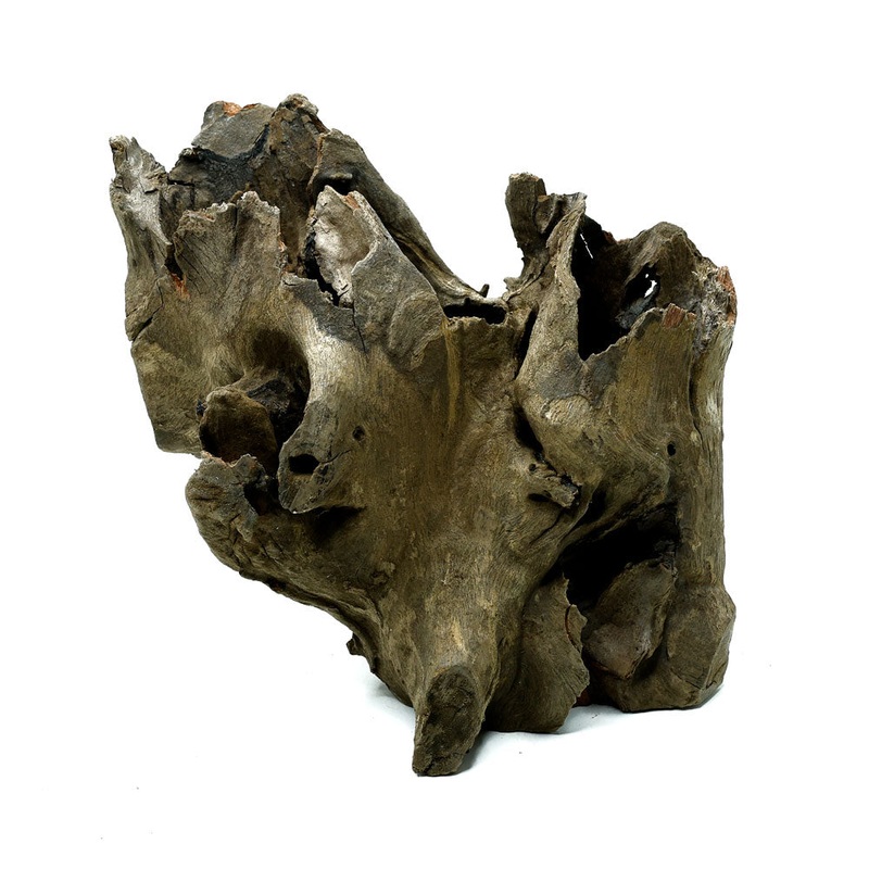 Stump Wood|Small (4-6 inches)|Medium (7-9 inches)