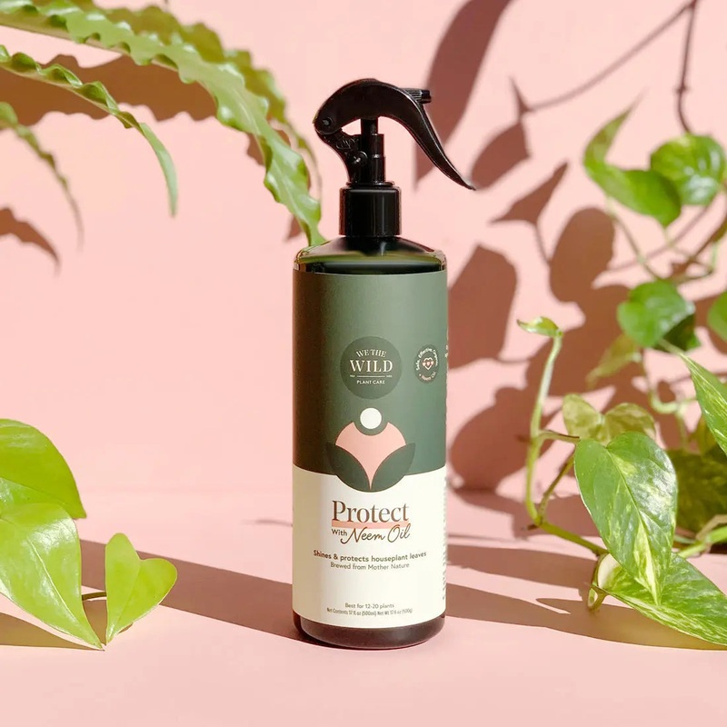 Protect Spray with Neem (17 fl oz)