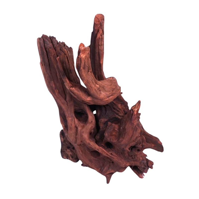 Ancient Wood