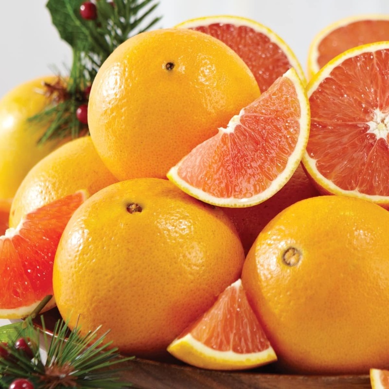 Red Navel Orange Tree – Live Plant in a 5 Gallon Pot – 2-3 Feet Tall – Florida Only – Cannot Ship Out of Florida – Beautiful Fruit Tree for Patio and Garden