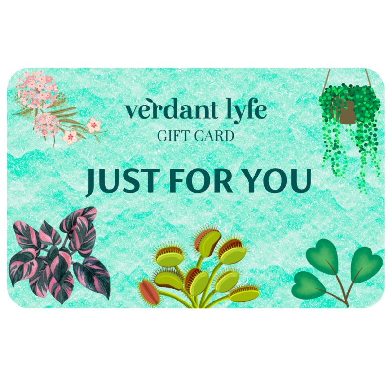 Verdant Lyfe Gift Card|USD 10.00|USD 25.00|USD 50.00|USD 100.00|USD 150|USD 200|USD 250|USD 300