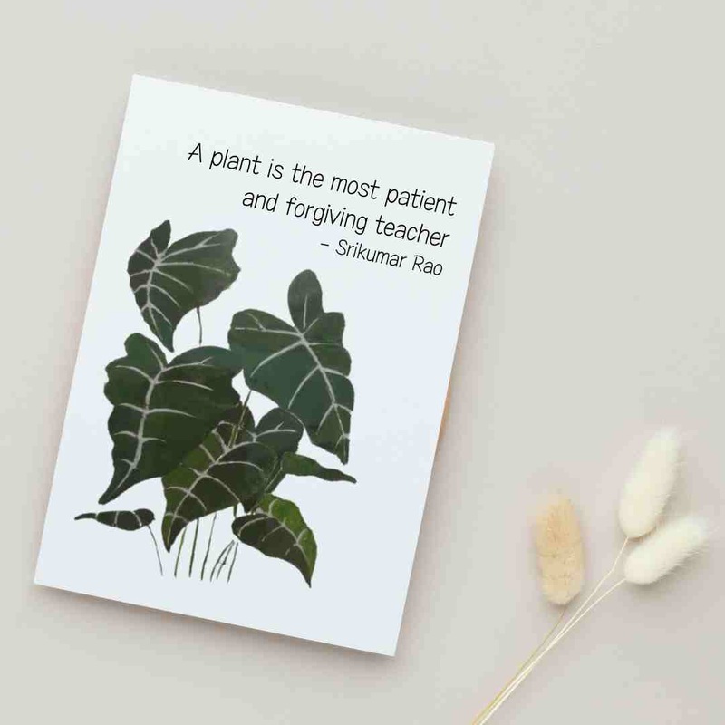 A Plant is the Most Patient & Forgiving Teacher – Blank Greeting Card