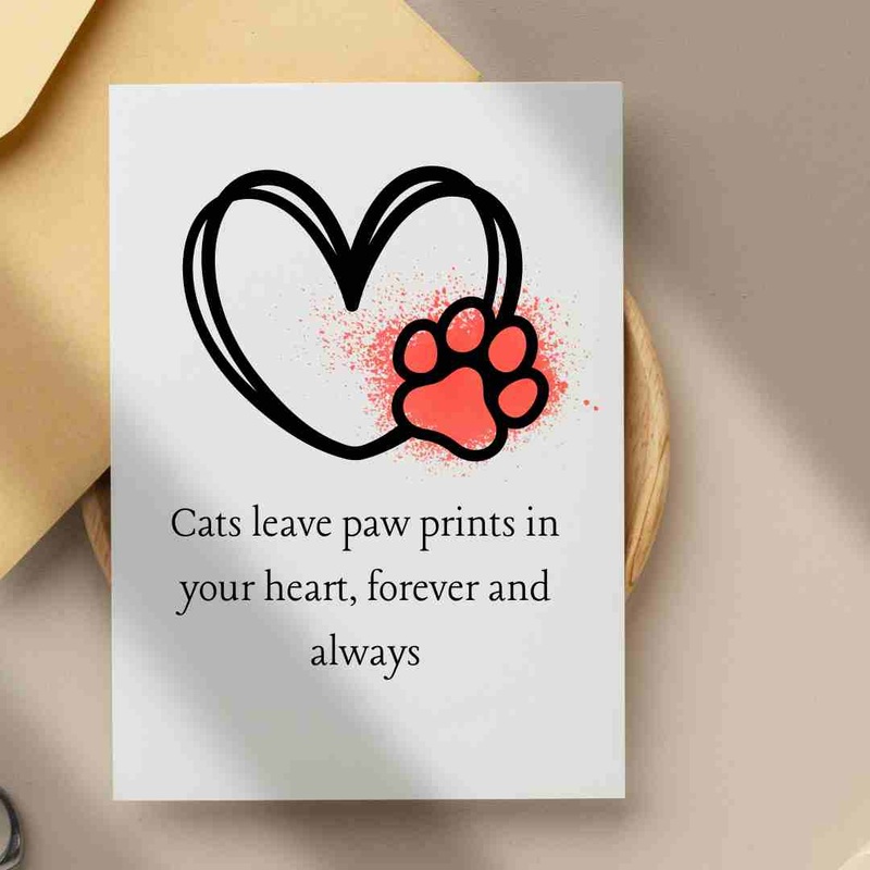 Cats Leave Paw Prints In Our Hearts Forever – Blank Greeting Card