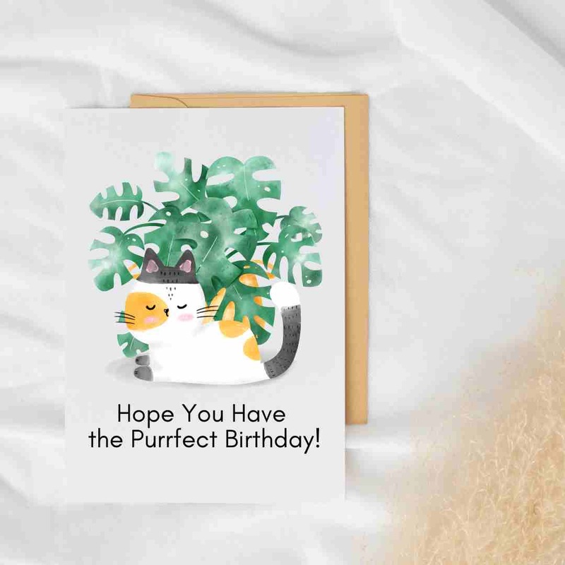 Hope You Have the Purfect Birthday – Blank Greeting Card
