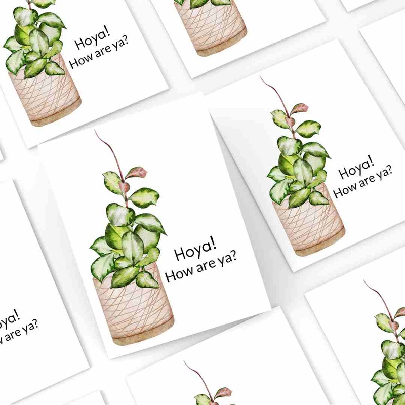 Hoya How Are Ya? – Blank Greeting Card