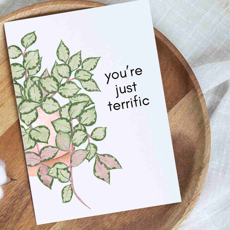 Hoya You’re Just Terrific – Blank Greeting Card