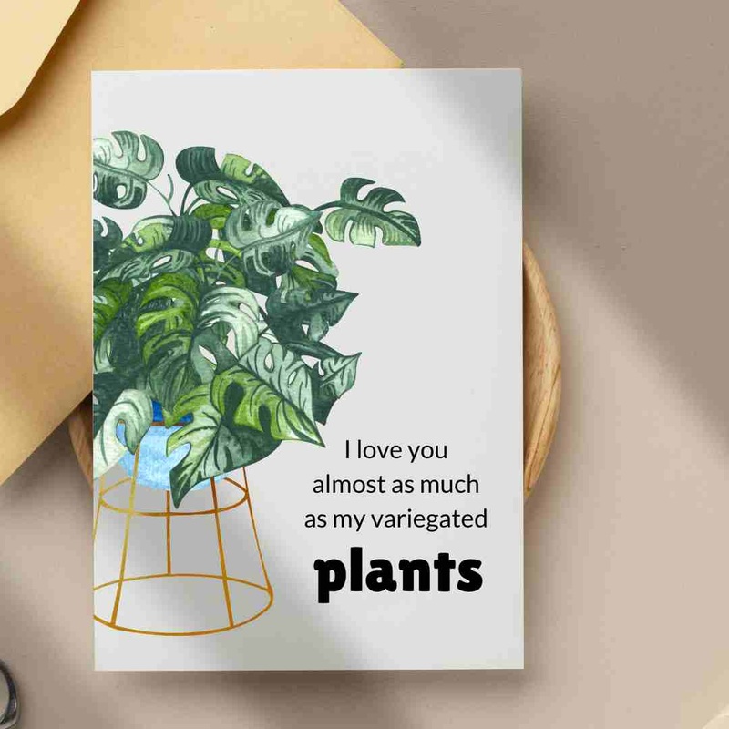 I Love You Almost As Much As My Variegated Plants – Blank Greeting Card