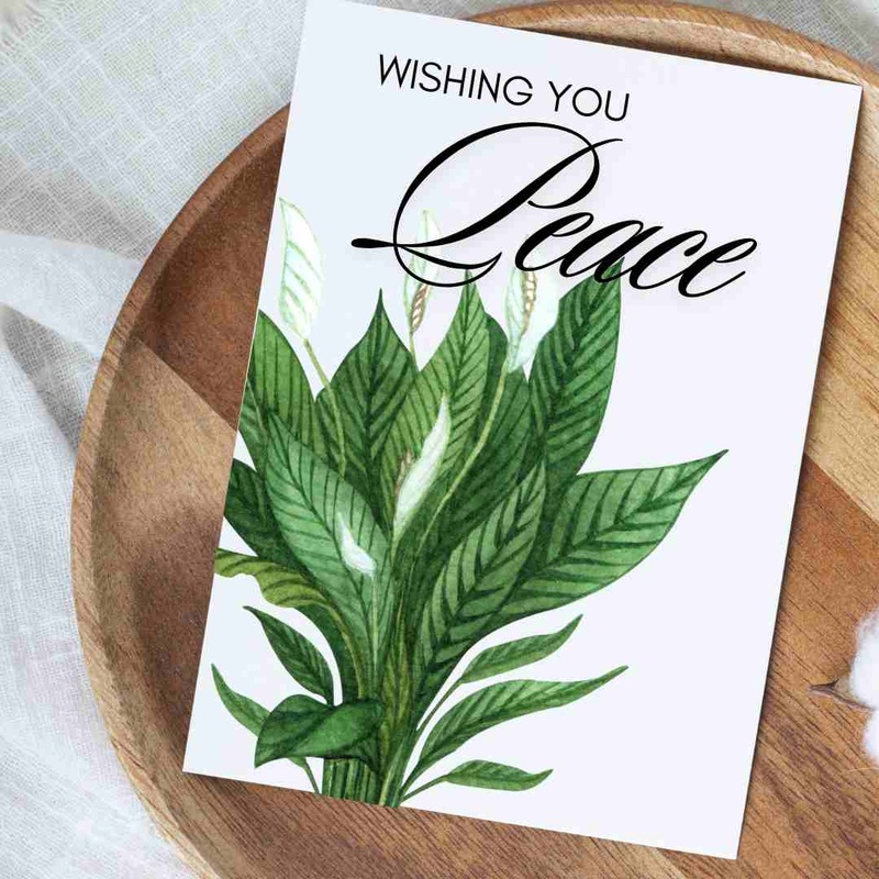 Wishing You Peace Lily – Blank Greeting Card