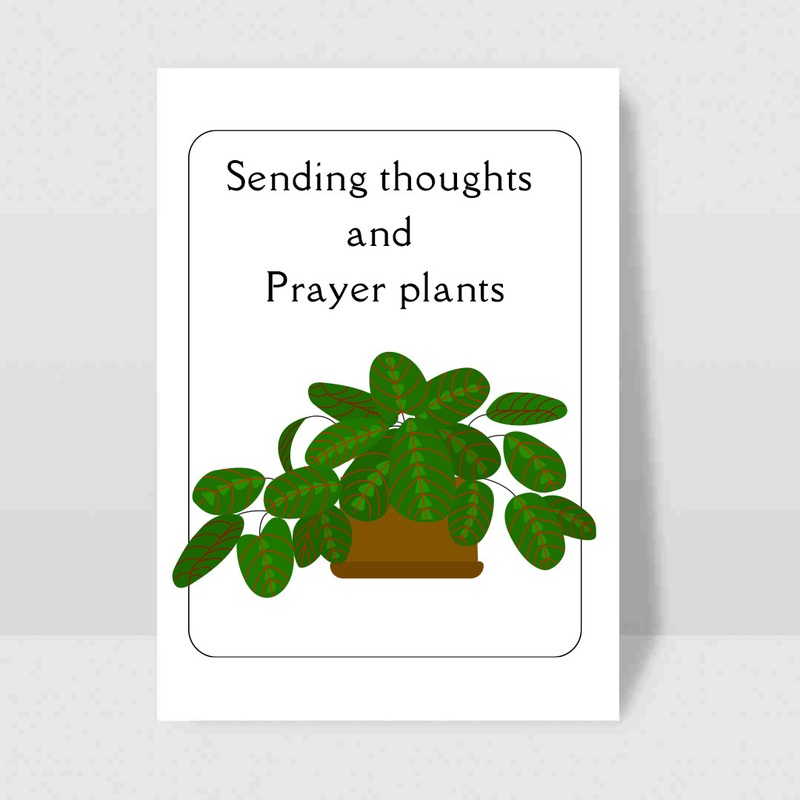 Sending Thoughts and Prayer Plants – Blank Greeting Card