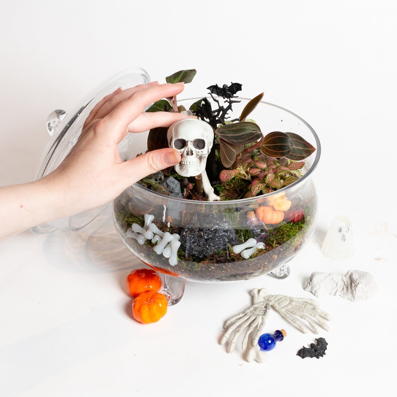 10/24 @ 6:00 Cemeterrariums (Spooky Terrariums) Workshop