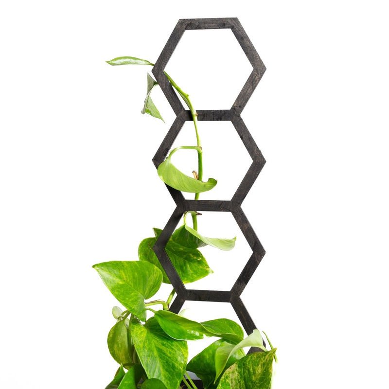 18 Black Hexagon Trellis|Black
