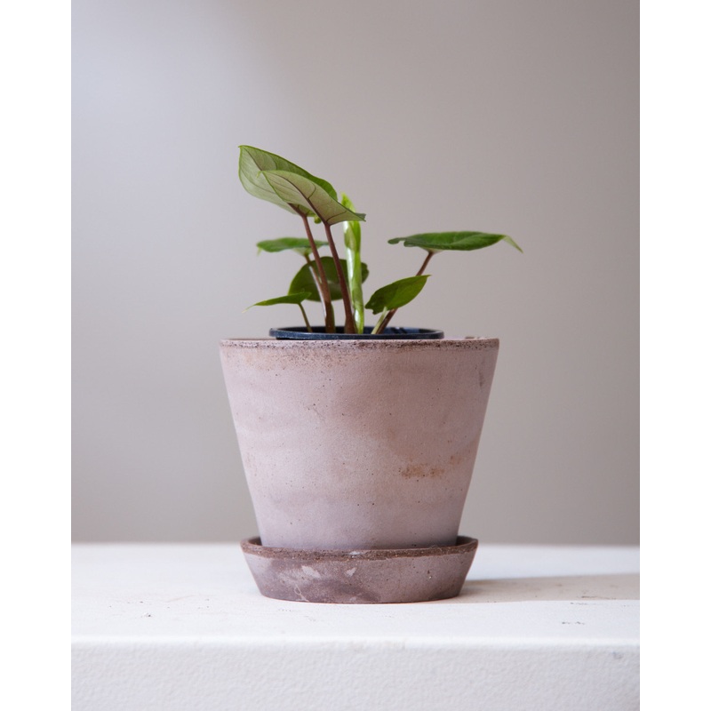 5.5 Inch BERGS POTTER ‘JULIE’ GREY