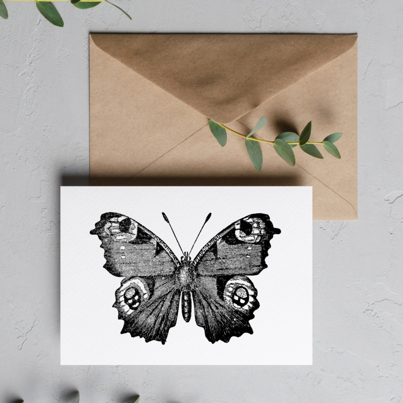 Black Butterfly – Blank Greeting Card
