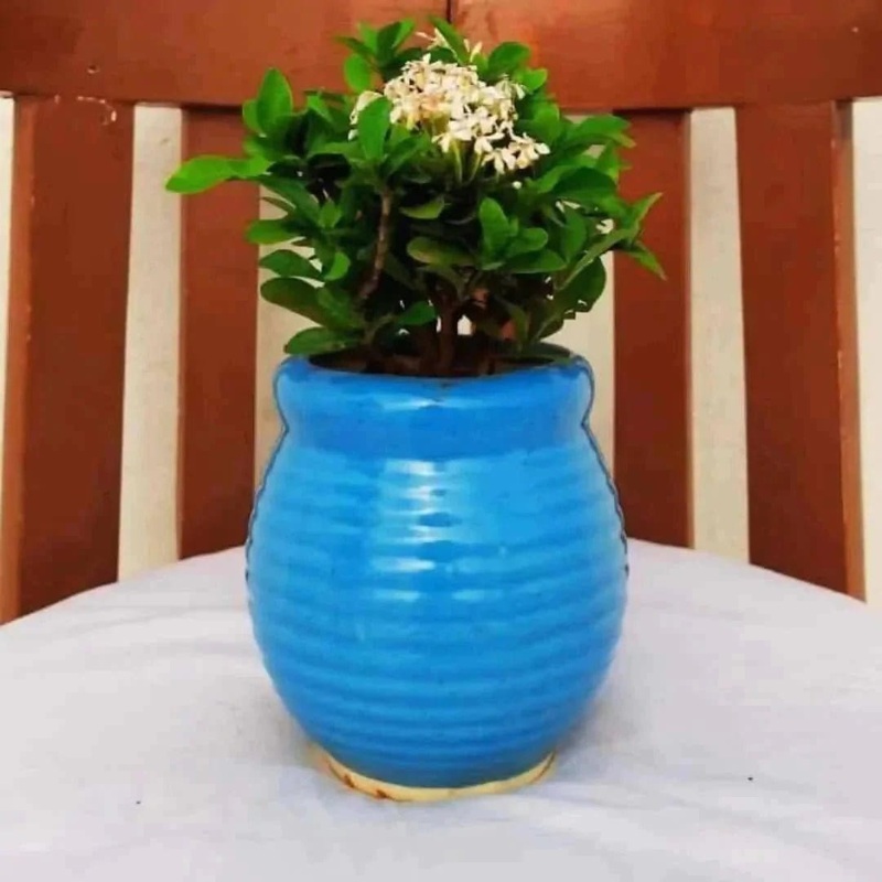 Blue Matka Ceramic Pot