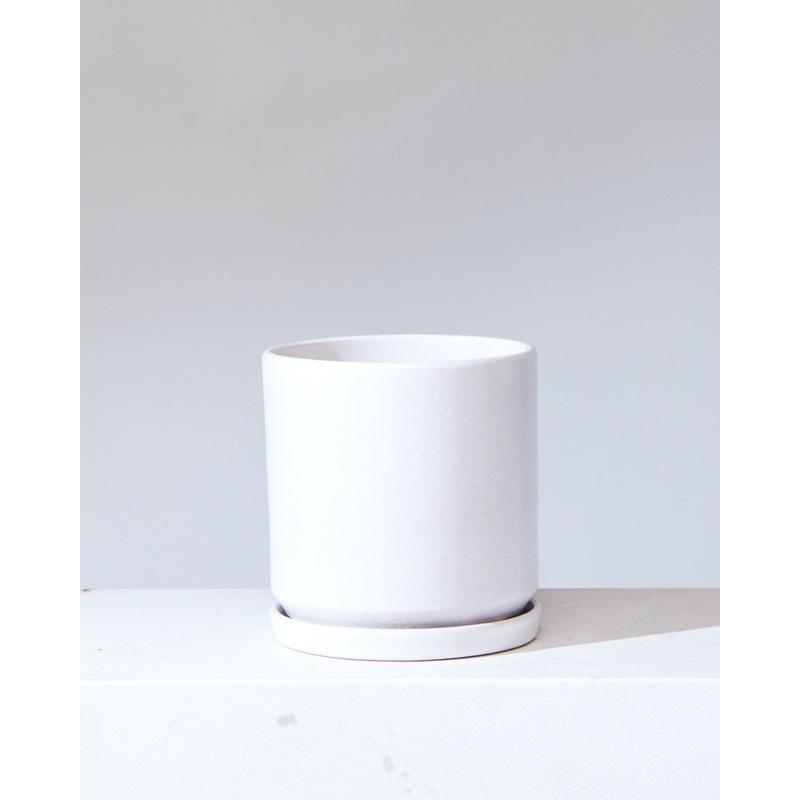 California Pot with Drainage and Tray | 6 inch Diameter