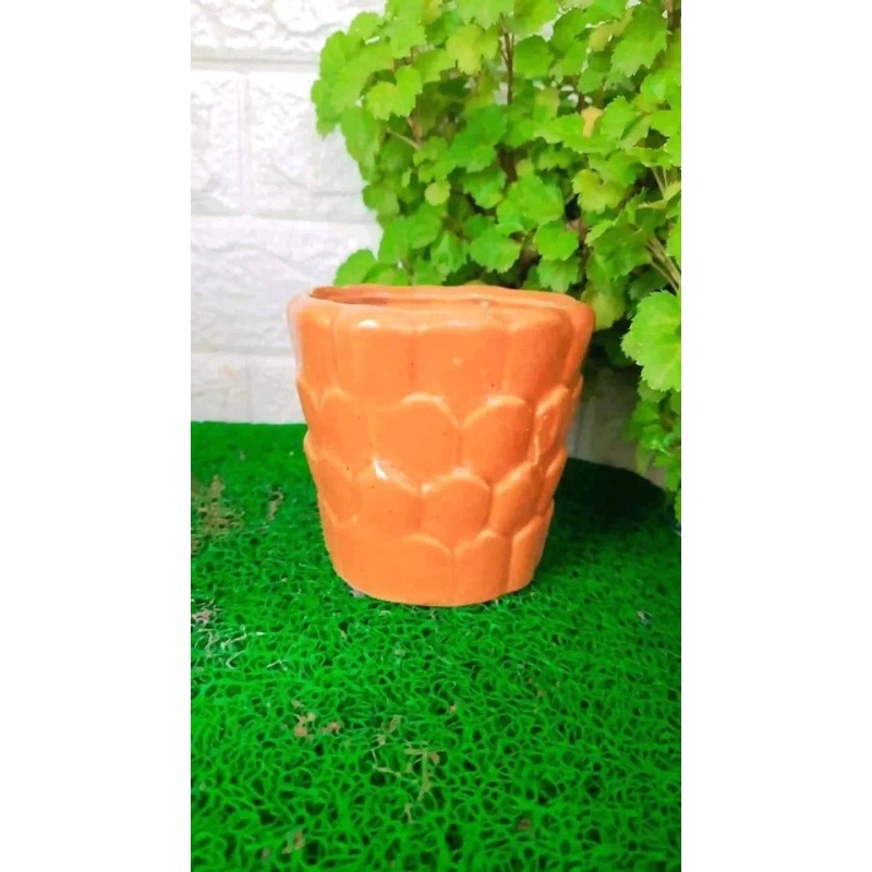 Brown Scaled Ceramic Pot