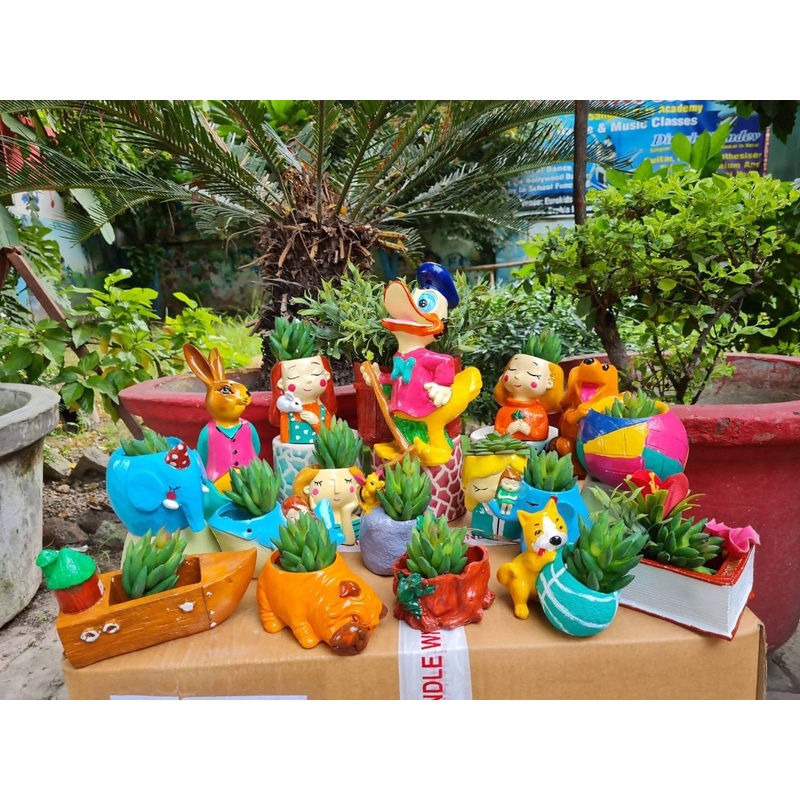 Colorful Planter Combo