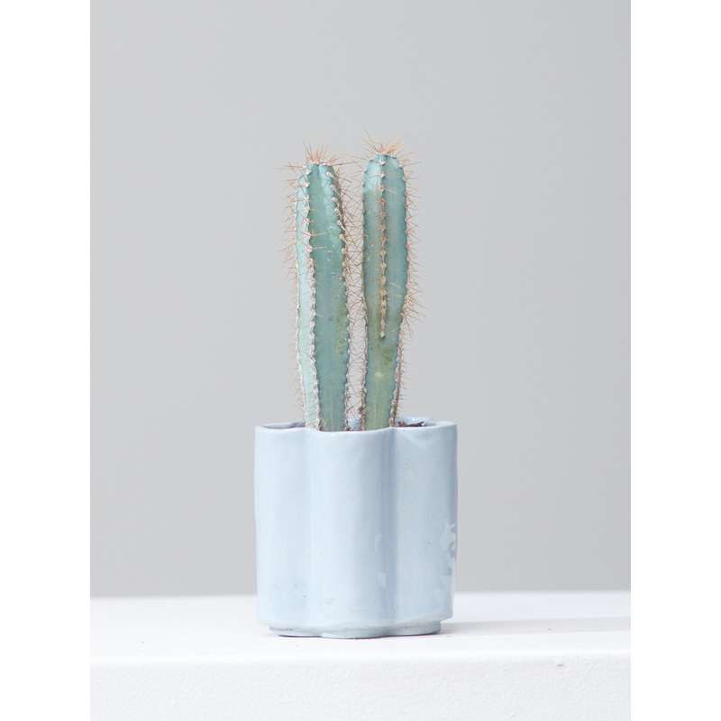 HIGH NOON ARTIST EDITION PLANTER – BABY, Small 5 Inch
