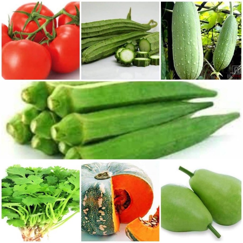vegetable seeds combo pack