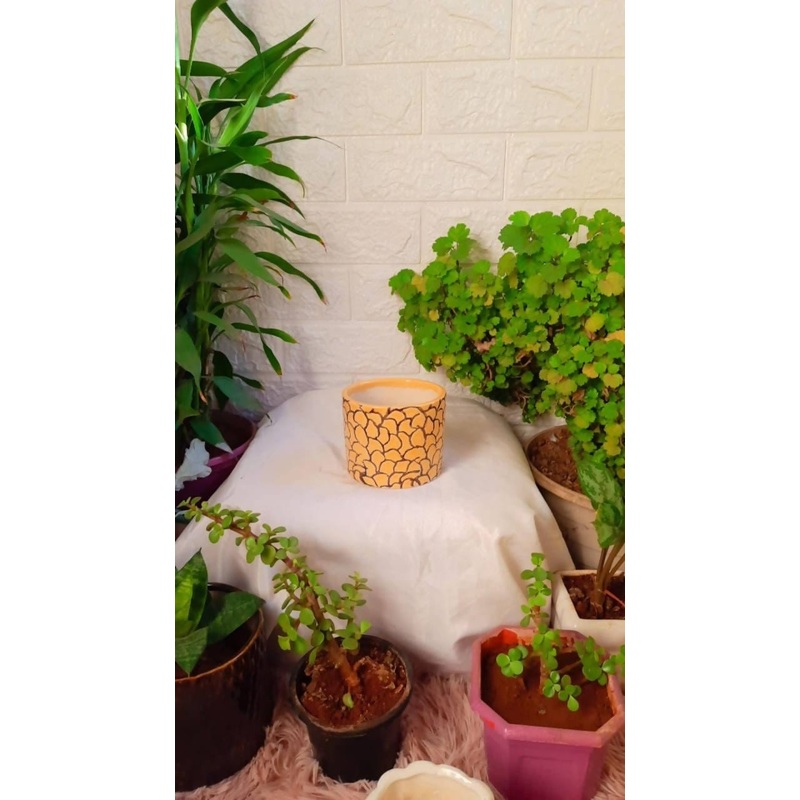 Yellow Printed Round Ceramic Pot