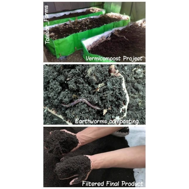 vermicompost 5 kg
