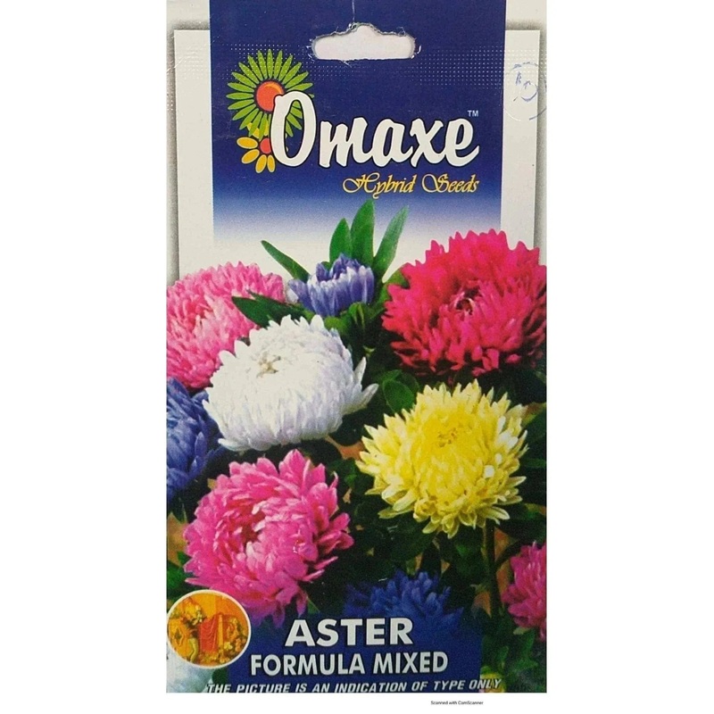 Aster Formula Mixed seeds