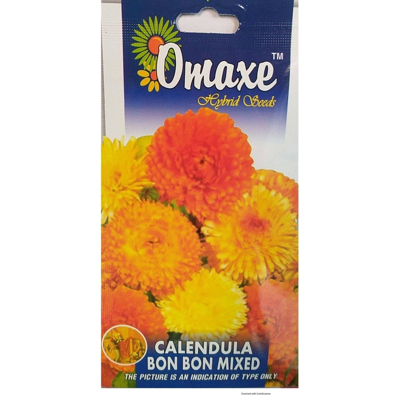 Calendula Bon Bon Mix