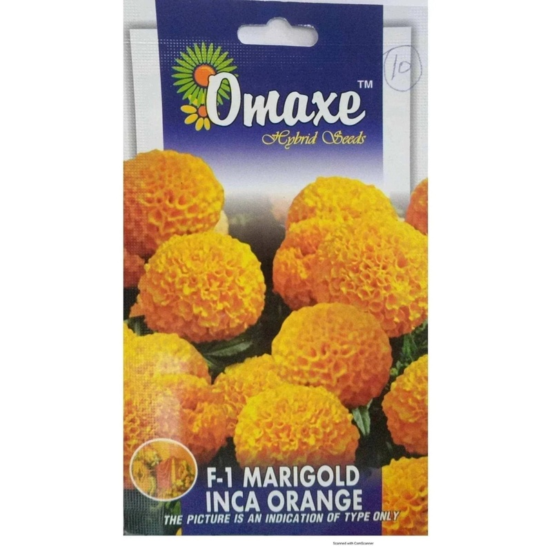 F 1 Marogold Inca Orange seeds