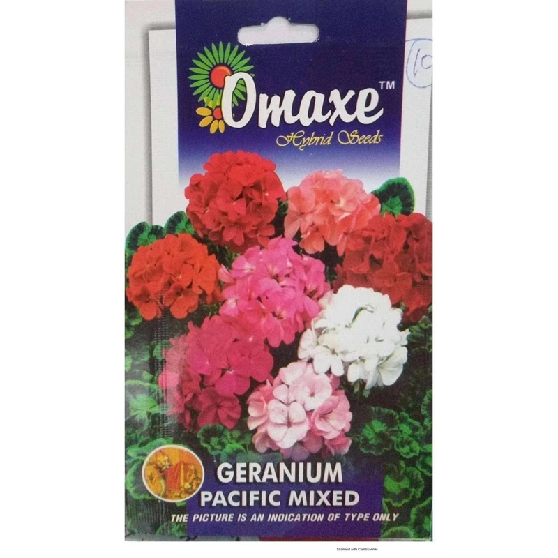 Geranium Pacific Mix seeds
