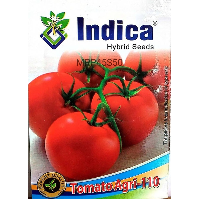 Indica Hybrid Tomato seeds