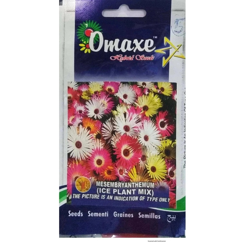 Mesembrayanthemem Mix seeds
