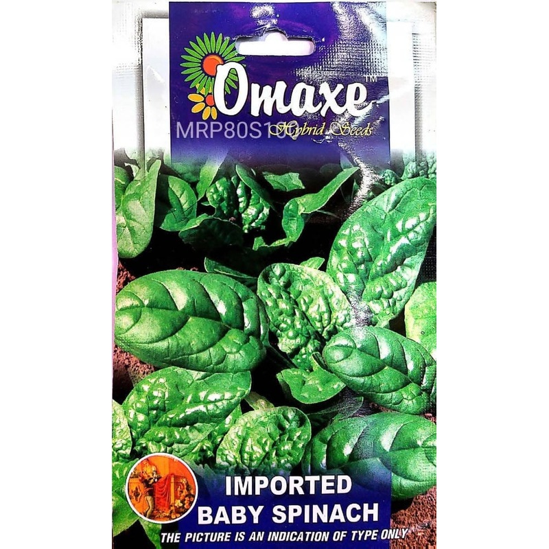 Omaxe Baby Spinach seeds