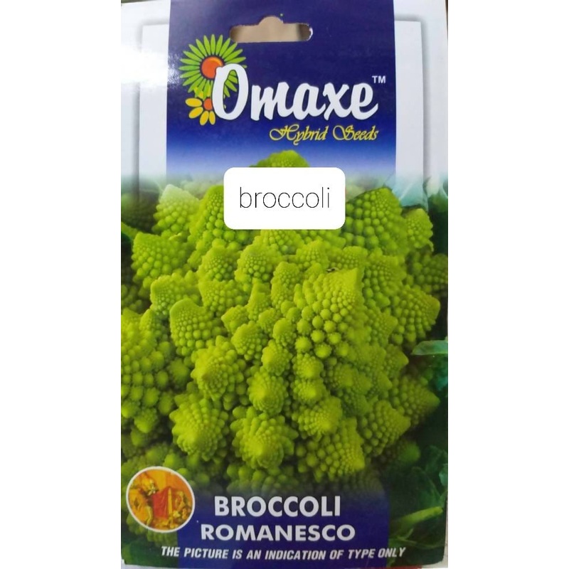 Omaxe Broccoli Romanesco