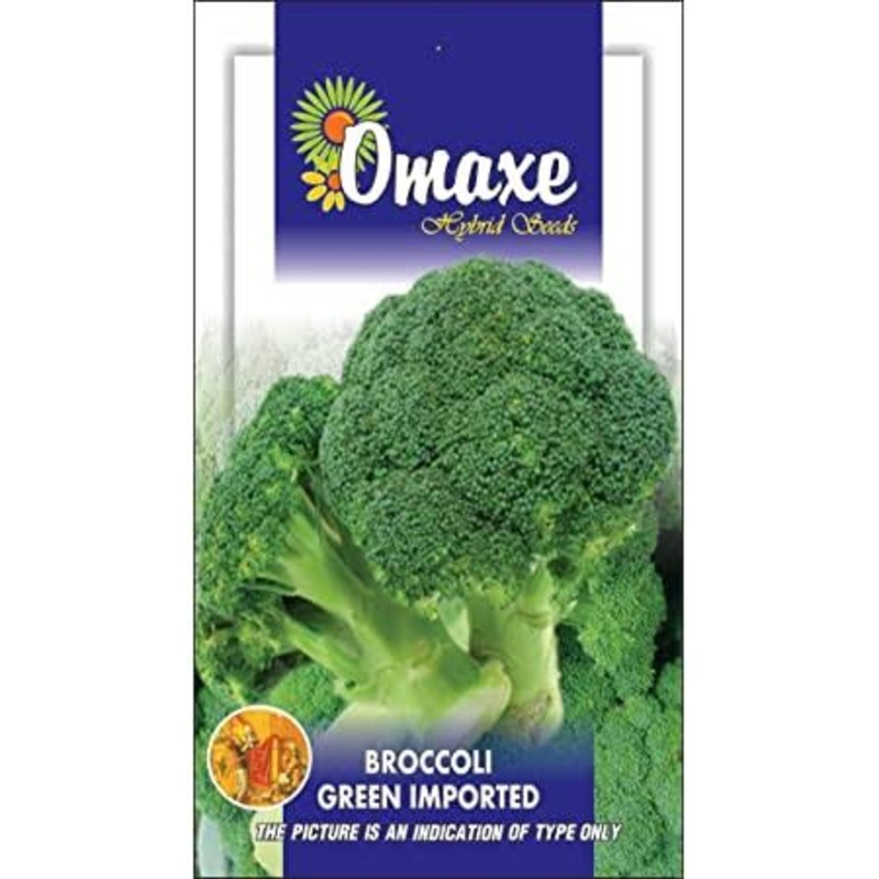 Omaxe Brocolli Green Imported seeds