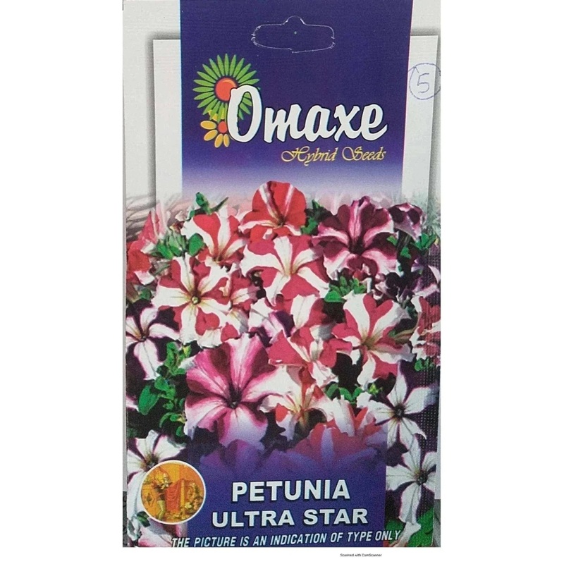 Petunia Ultra Star seeds