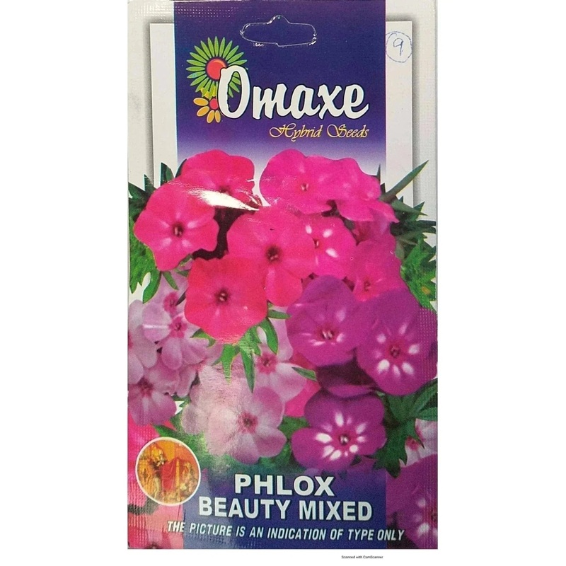 Phlox Beauty Mix