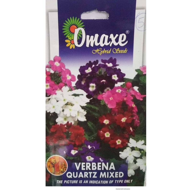 Verbena Quartz Mix seeds