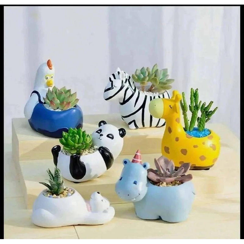Jungle Combo pots of 6 pcs