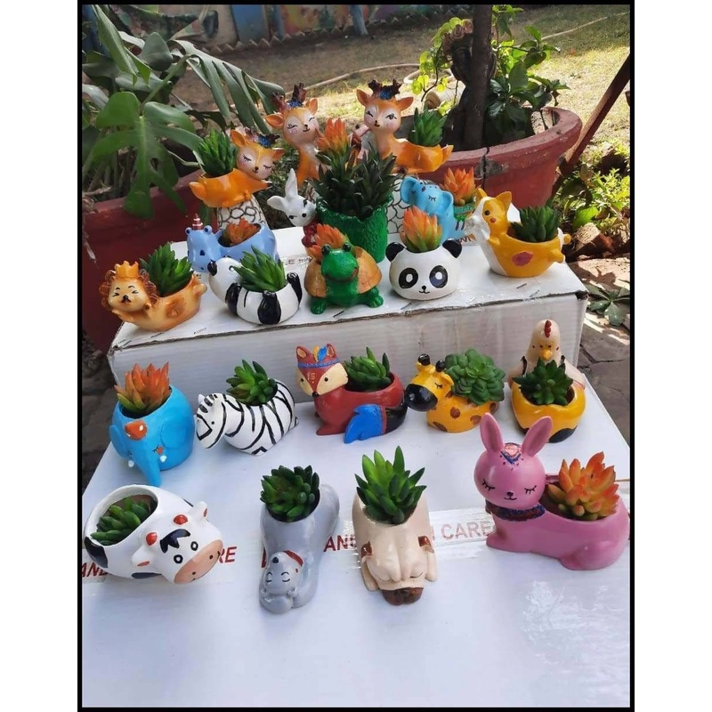 Jungle Pots Combo of 20pcs