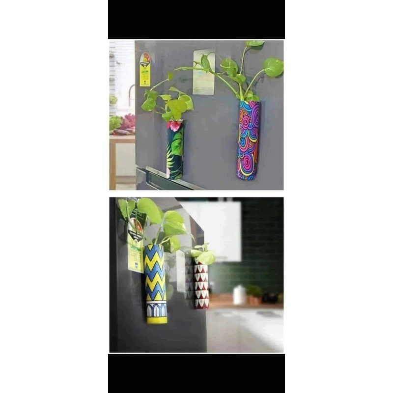 Magnetic Test tube Set of 2