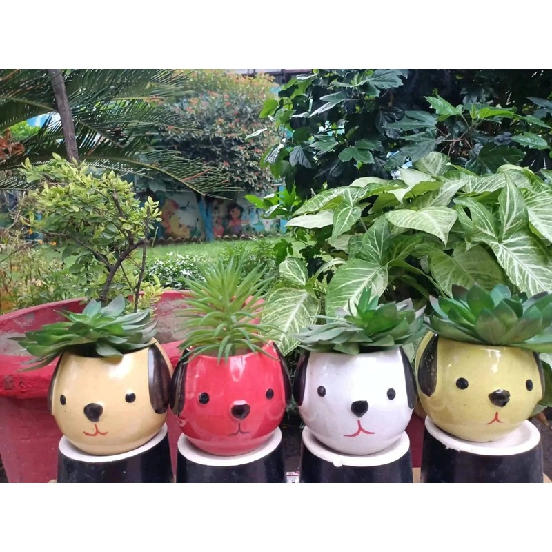 Panda Pot Set of 4