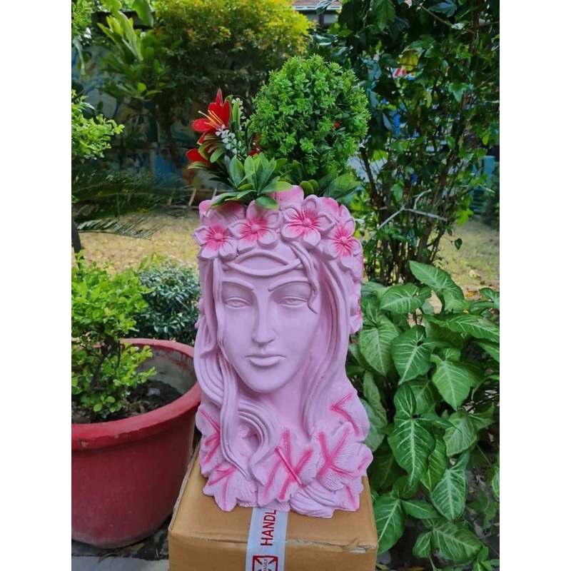 Pink Lady Pot