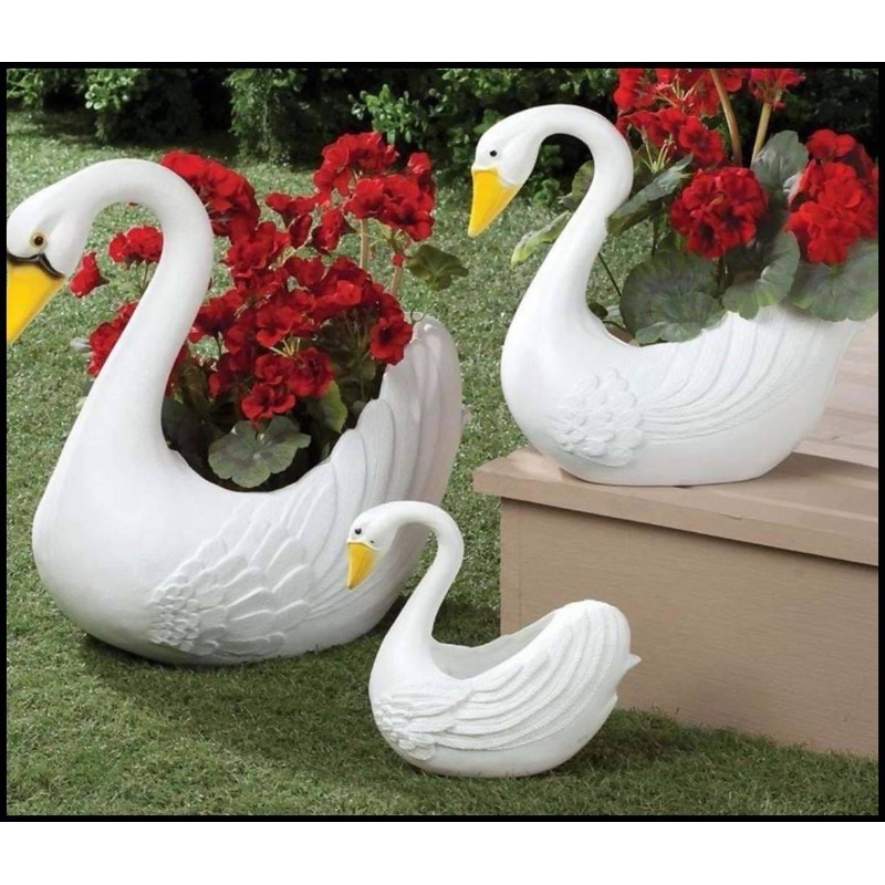 Swan Combo of 3