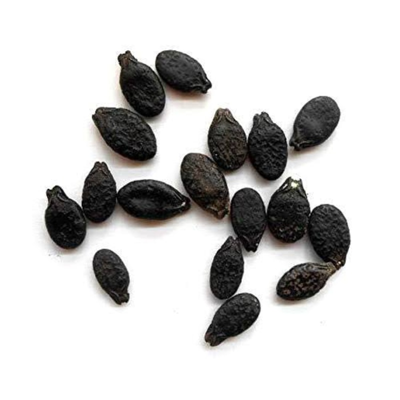 Torai seeds (desi)