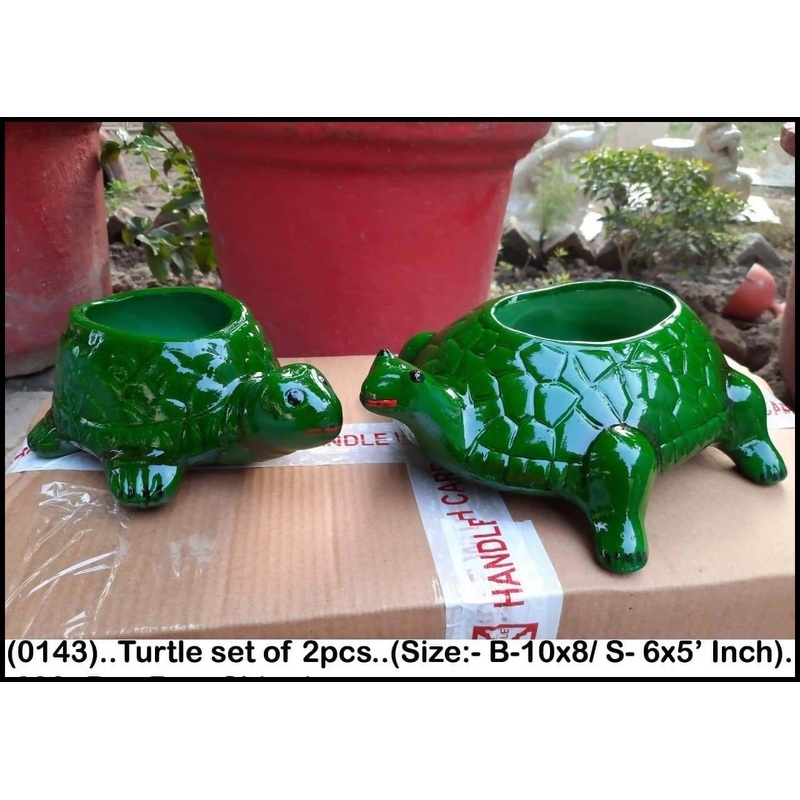 Turtle Set of 2