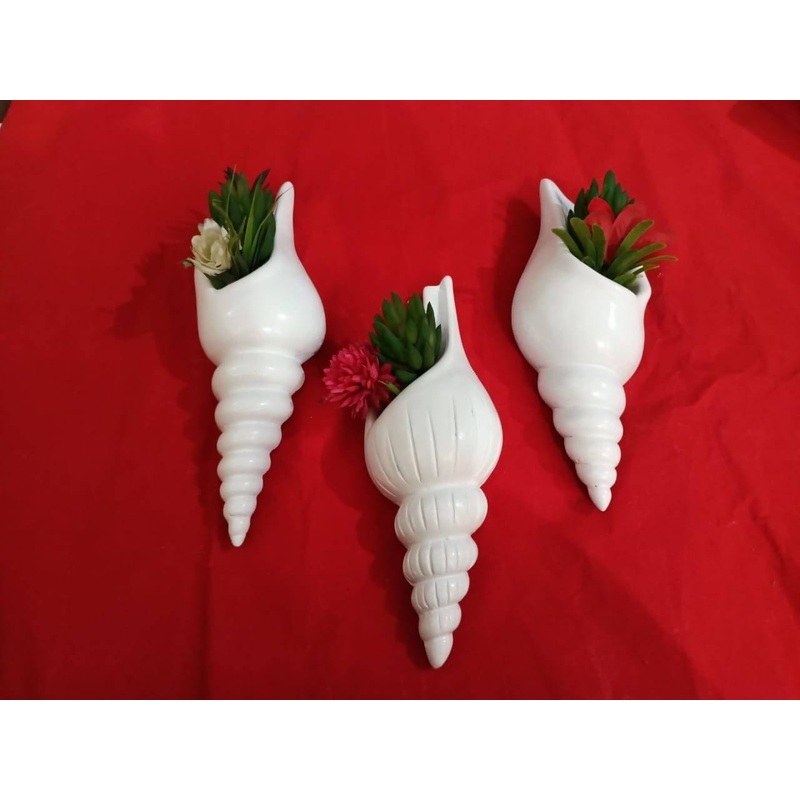 Wall Hanging Shells Combo of 3