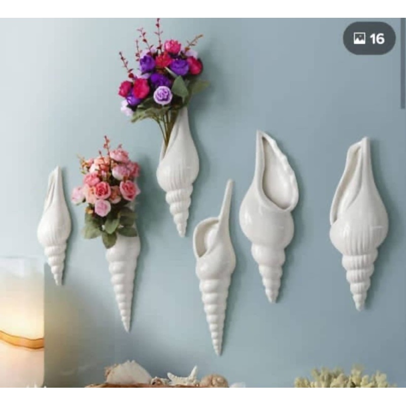 Wall Hanging Shells Combo of 6