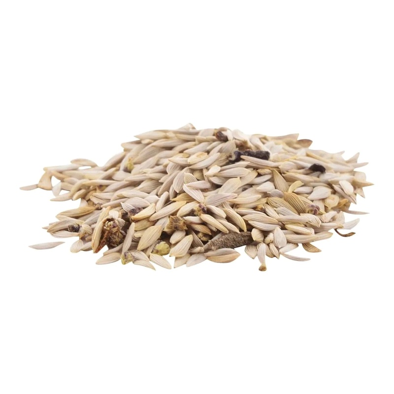 Buy Lettuce iceberg seed